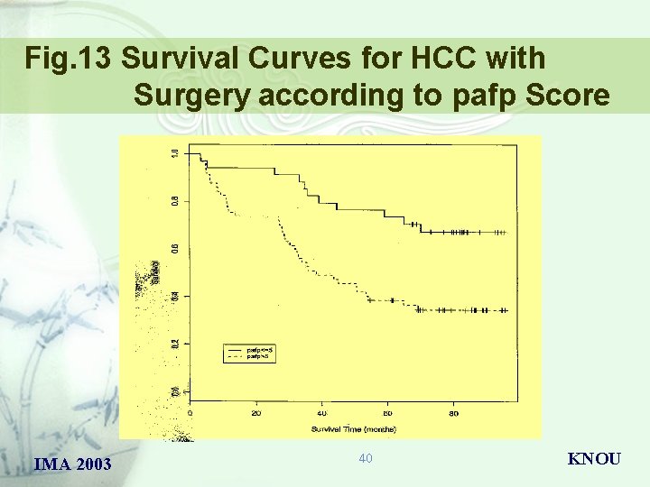 Fig. 13 Survival Curves for HCC with Surgery according to pafp Score IMA 2003