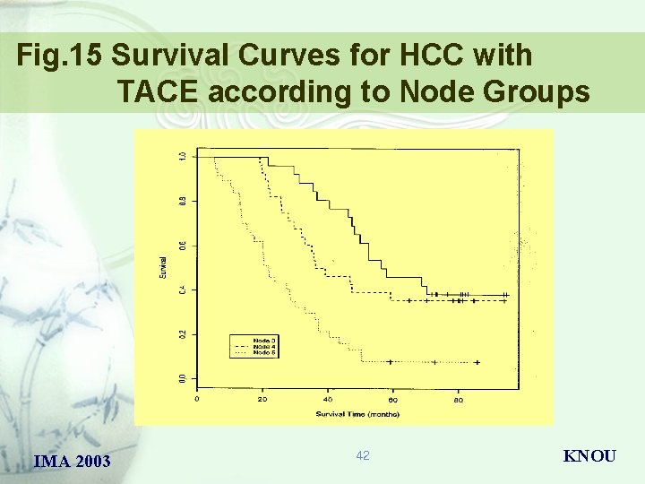 Fig. 15 Survival Curves for HCC with TACE according to Node Groups IMA 2003