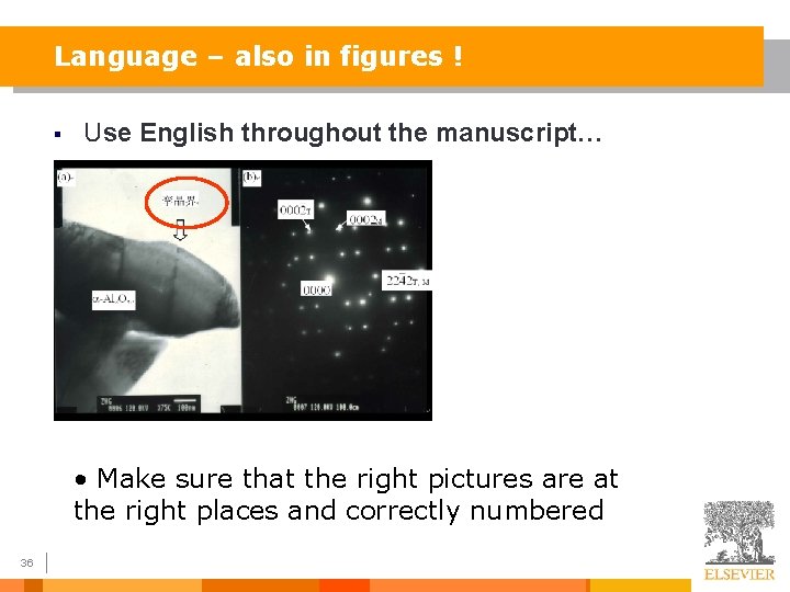 Language – also in figures ! § Use English throughout the manuscript… • Make
