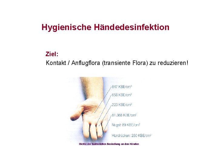 Hygienische Händedesinfektion Ziel: Kontakt / Anflugflora (transiente Flora) zu reduzieren! 