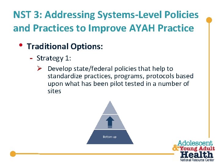 NST 3: Addressing Systems-Level Policies and Practices to Improve AYAH Practice • Traditional Options: