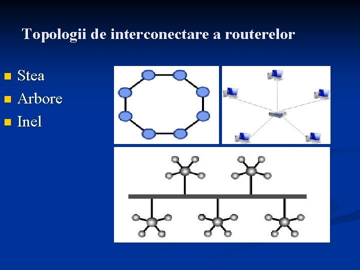 Topologii de interconectare a routerelor Stea n Arbore n Inel n 