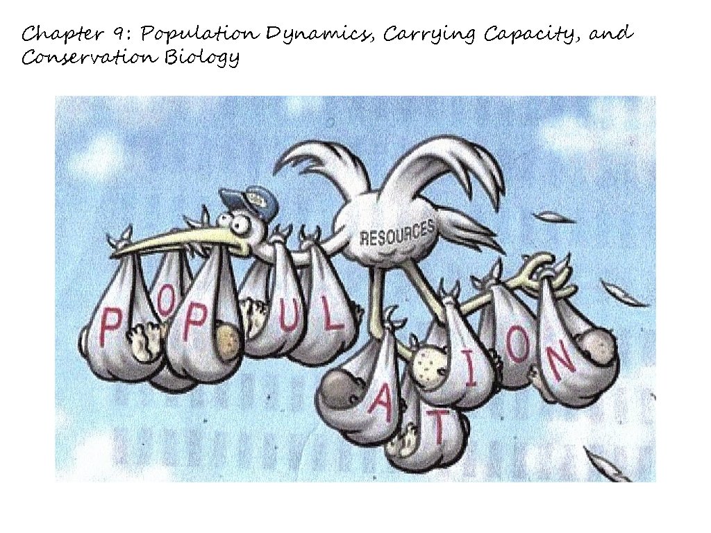 Chapter 9: Population Dynamics, Carrying Capacity, and Conservation Biology 