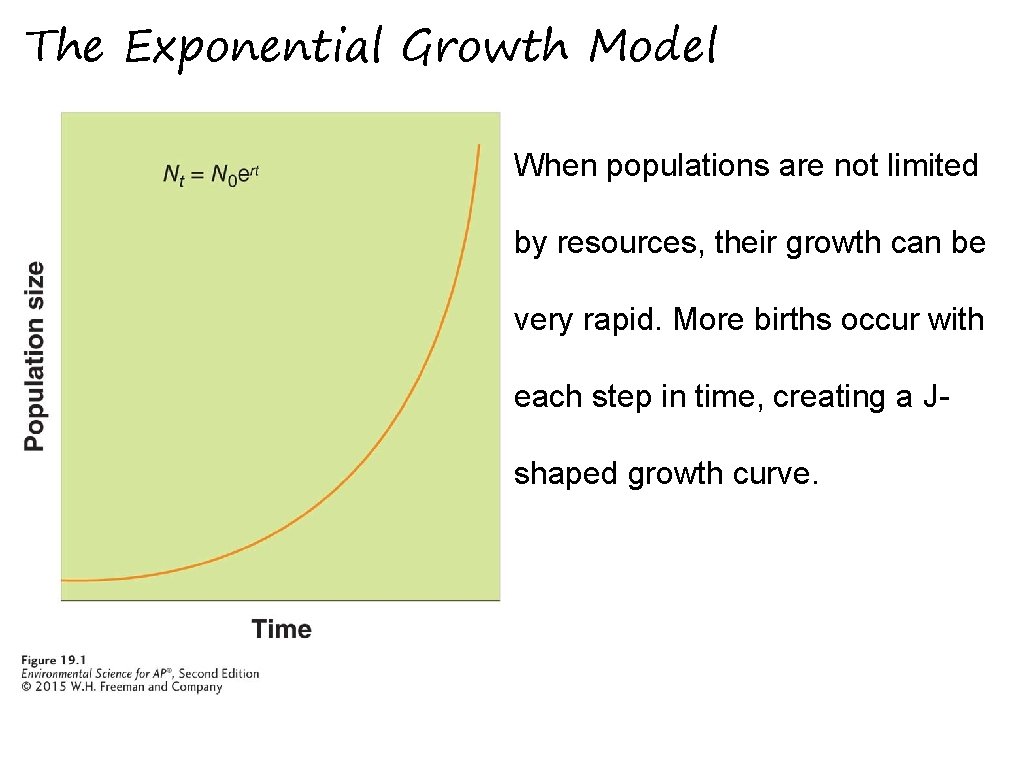 The Exponential Growth Model When populations are not limited by resources, their growth can