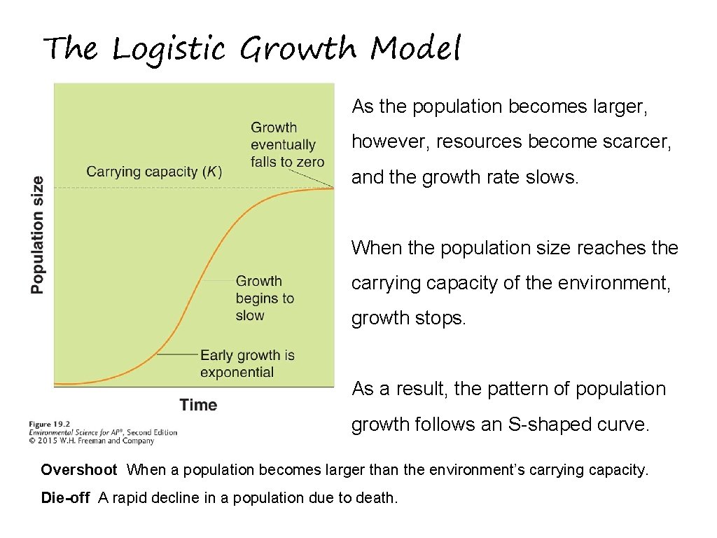 The Logistic Growth Model As the population becomes larger, however, resources become scarcer, and