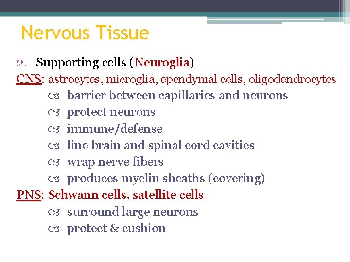 Nervous Tissue 2. Supporting cells (Neuroglia) Neuroglia CNS: astrocytes, microglia, ependymal cells, oligodendrocytes barrier