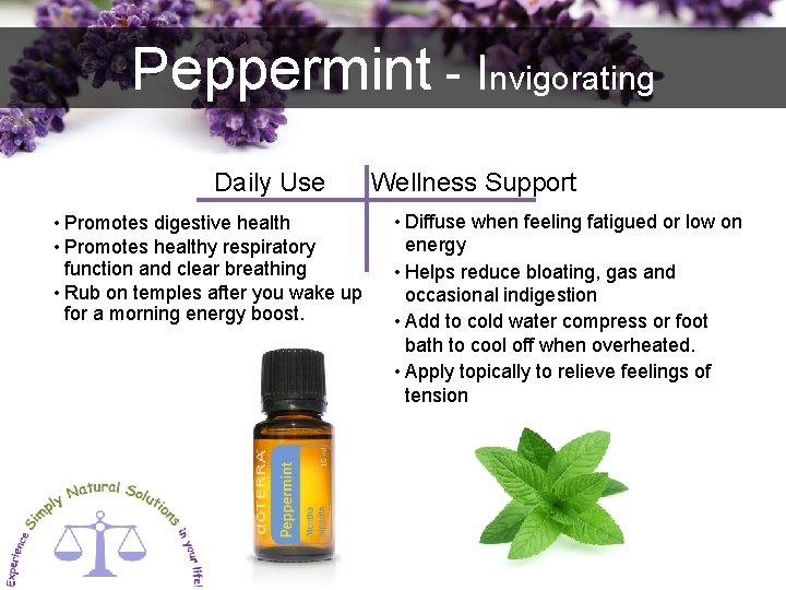 Peppermint - Invigorating Daily Use • Promotes digestive health • Promotes healthy respiratory function