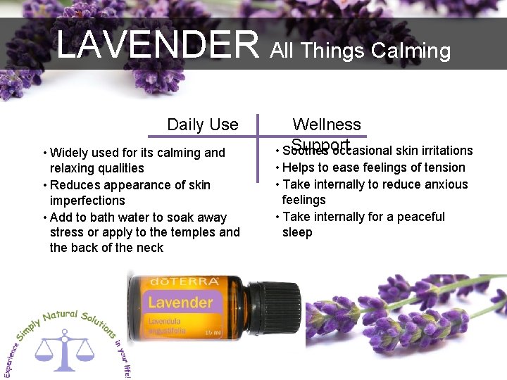 LAVENDER All Things Calming Daily Use • Widely used for its calming and relaxing