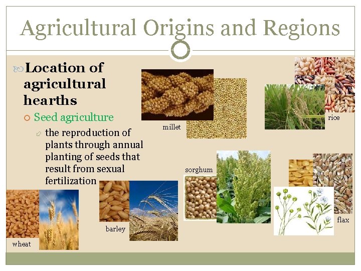 Agricultural Origins and Regions Location of agricultural hearths Seed agriculture the reproduction of plants