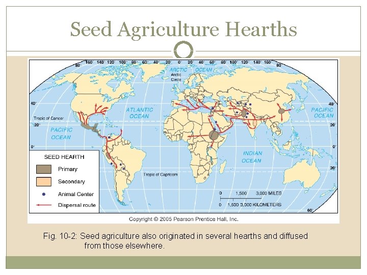 Seed Agriculture Hearths Fig. 10 -2: Seed agriculture also originated in several hearths and