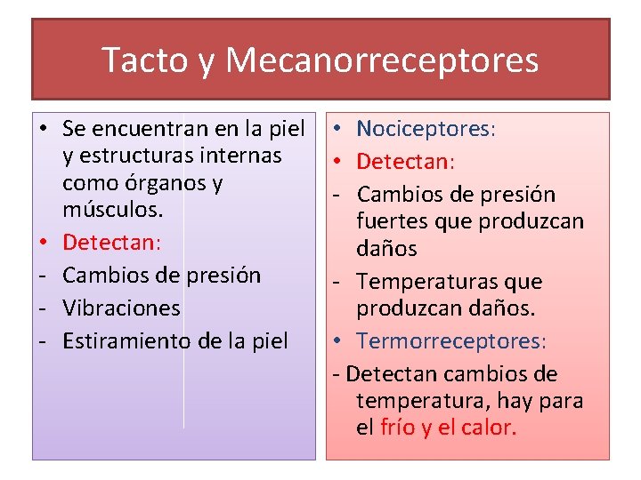 Tacto y Mecanorreceptores • Se encuentran en la piel y estructuras internas como órganos Tacto y Mecanorreceptores • Se encuentran en la piel y estructuras internas como órganos