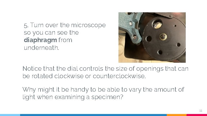 5. Turn over the microscope so you can see the diaphragm from underneath. Notice