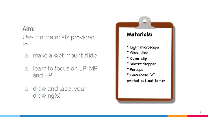 Aim: Use the materials provided to: a. make a wet mount slide a. learn