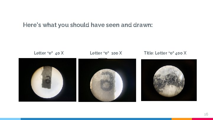 Here’s what you should have seen and drawn: Letter “e” 40 X Letter “e”