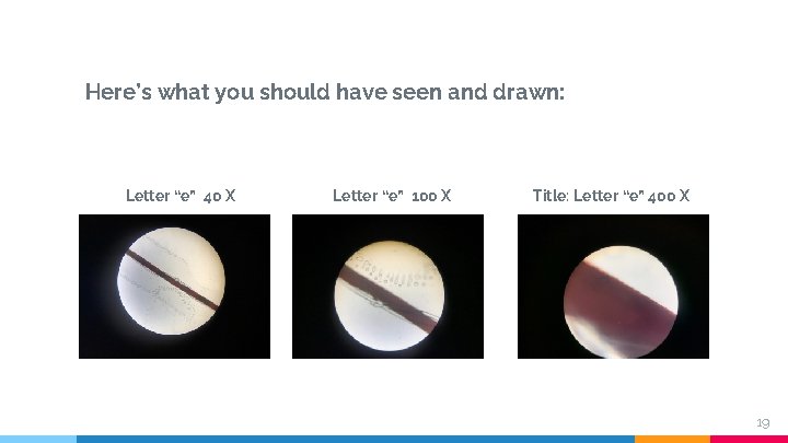 Here’s what you should have seen and drawn: Letter “e” 40 X Letter “e”