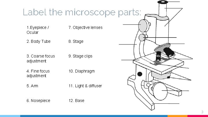 Label the microscope parts: 1. Eyepiece / Ocular 7. Objective lenses 2. Body Tube