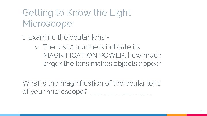 Getting to Know the Light Microscope: 1. Examine the ocular lens ○ The last