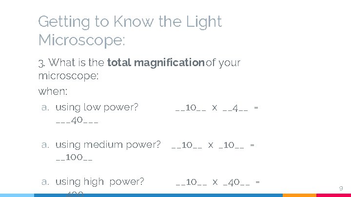 Getting to Know the Light Microscope: 3. What is the total magnification of your