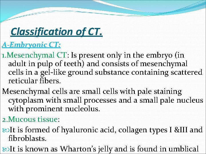 Classification of CT. A-Embryonic CT: 1. Mesenchymal CT: Is present only in the embryo Classification of CT. A-Embryonic CT: 1. Mesenchymal CT: Is present only in the embryo