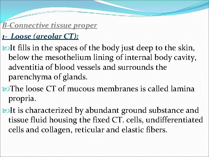 B-Connective tissue proper 1 - Loose (areolar CT): It fills in the spaces of B-Connective tissue proper 1 - Loose (areolar CT): It fills in the spaces of
