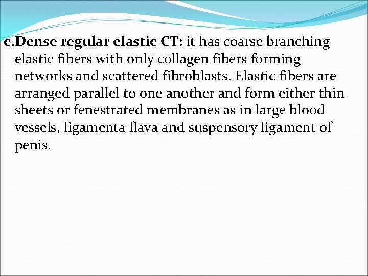 c. Dense regular elastic CT: it has coarse branching elastic fibers with only collagen c. Dense regular elastic CT: it has coarse branching elastic fibers with only collagen