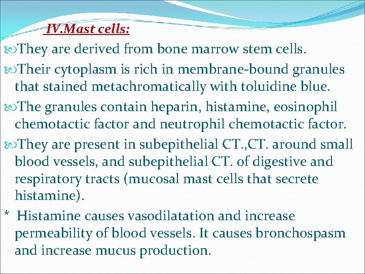 IV. Mast cells: They are derived from bone marrow stem cells. Their cytoplasm is IV. Mast cells: They are derived from bone marrow stem cells. Their cytoplasm is