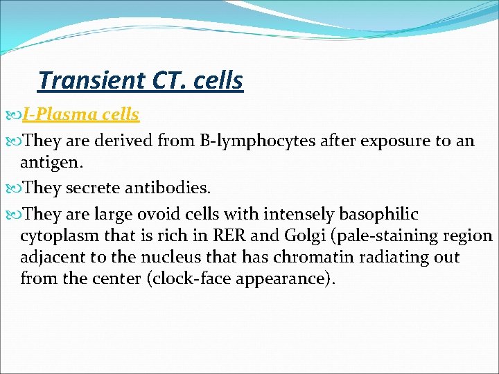 Transient CT. cells I-Plasma cells They are derived from B-lymphocytes after exposure to an Transient CT. cells I-Plasma cells They are derived from B-lymphocytes after exposure to an
