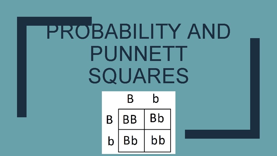 PROBABILITY AND PUNNETT SQUARES 