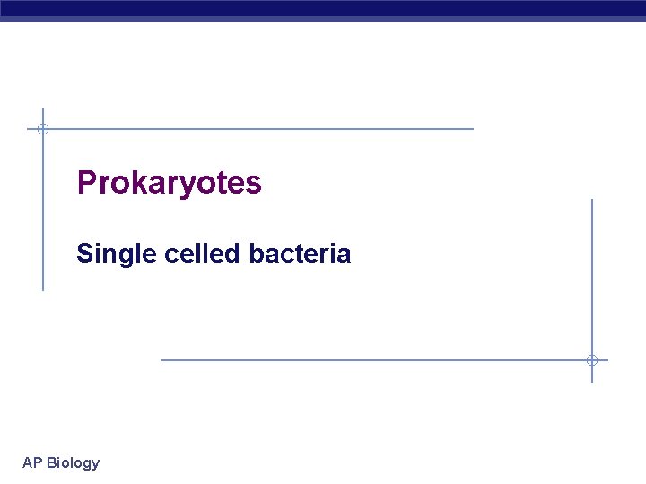 Prokaryotes Single celled bacteria AP Biology 