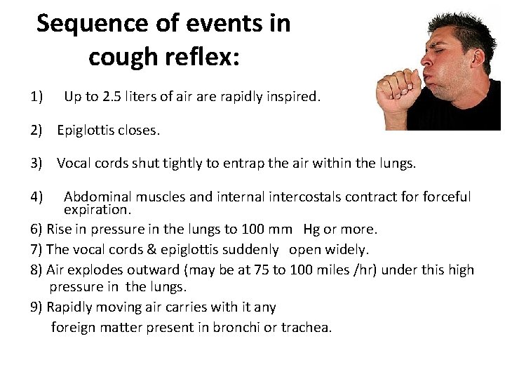 Sequence of events in cough reflex: 1) Up to 2. 5 liters of air