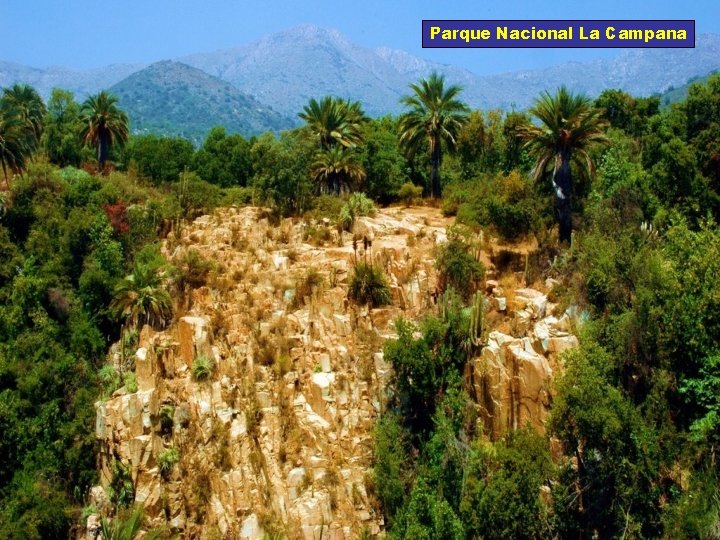 Parque Nacional La Campana 