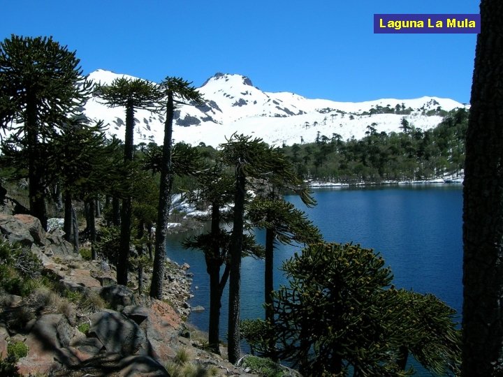 Laguna La Mula 