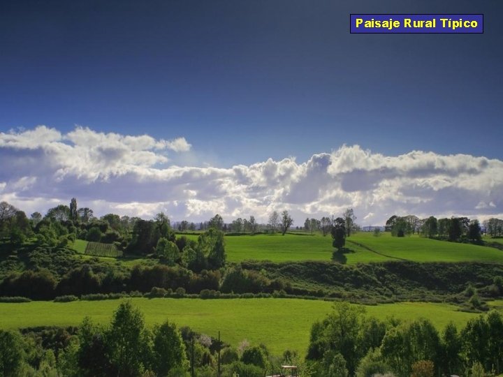 Paisaje Rural Típico 