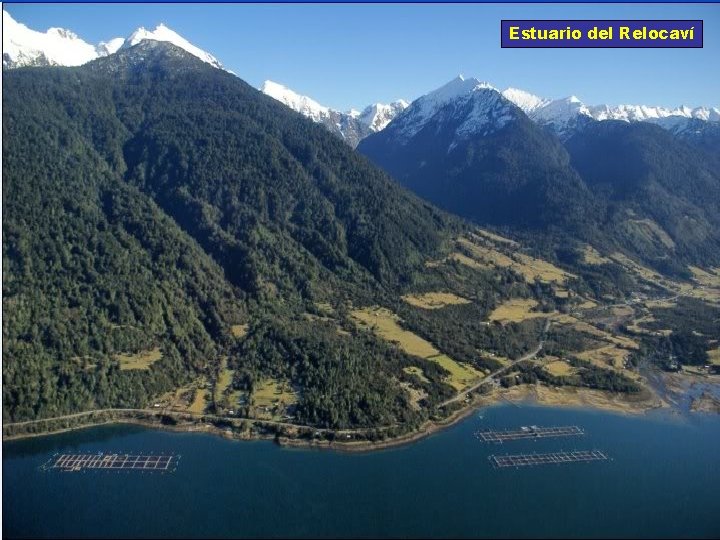 Estuario del Relocaví 