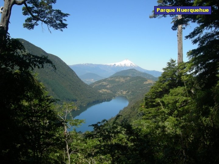 Parque Huerquehue 