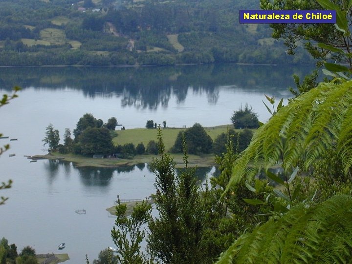 Naturaleza de Chiloé 