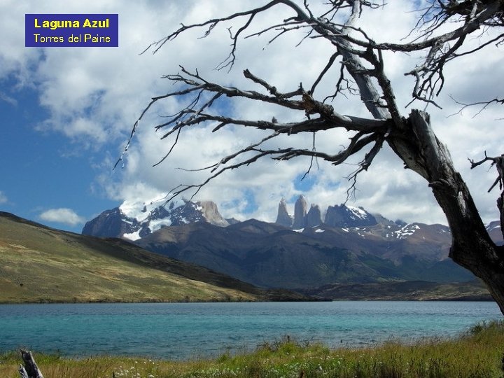 Laguna Azul Torres del Paine 