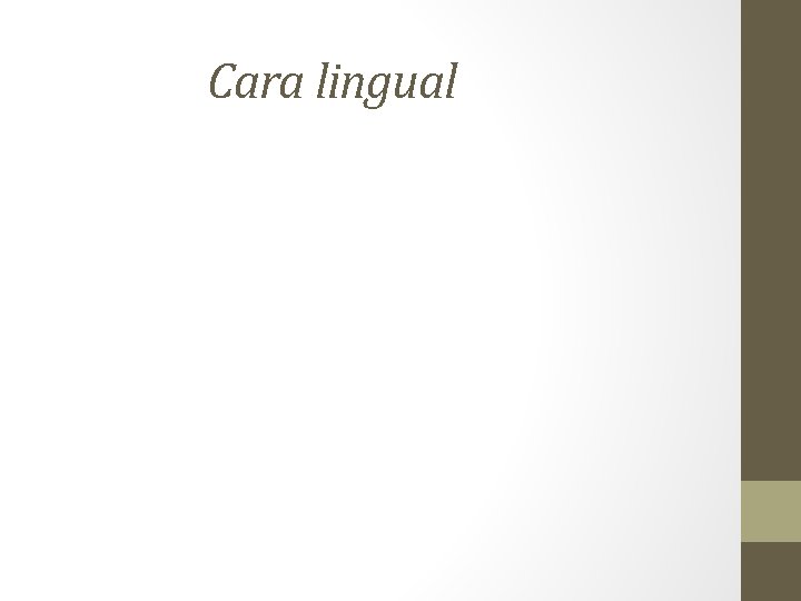 Cara lingual 