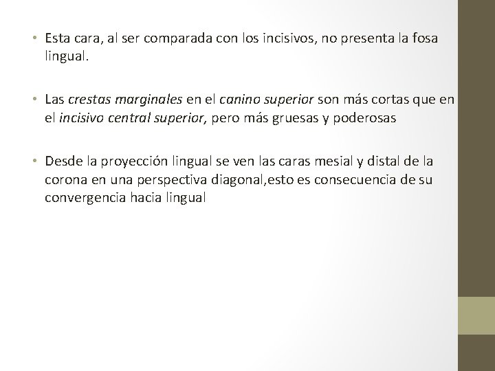  • Esta cara, al ser comparada con los incisivos, no presenta la fosa