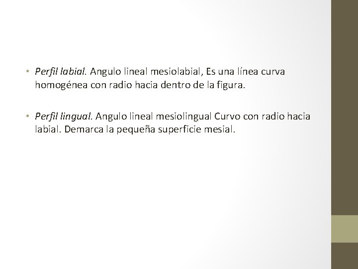  • Perfil labial. Angulo lineal mesiolabial, Es una línea curva homogénea con radio