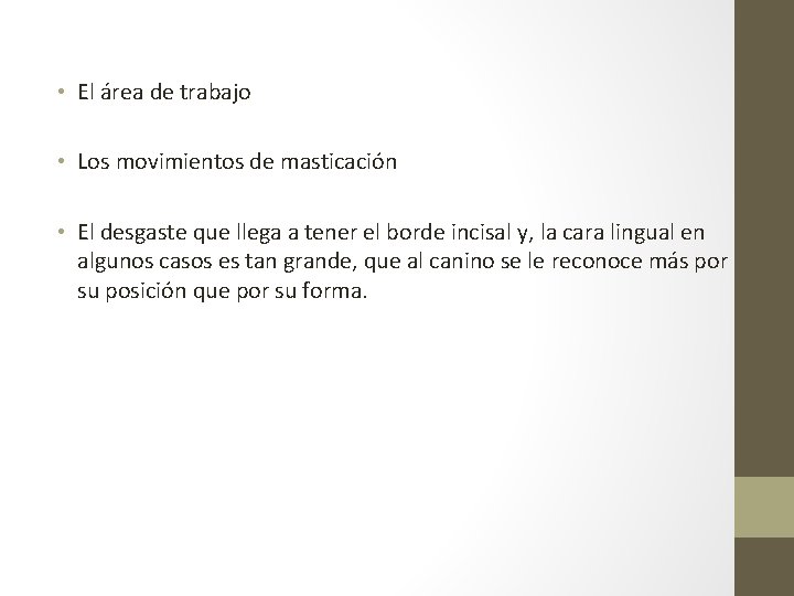  • El área de trabajo • Los movimientos de masticación • El desgaste