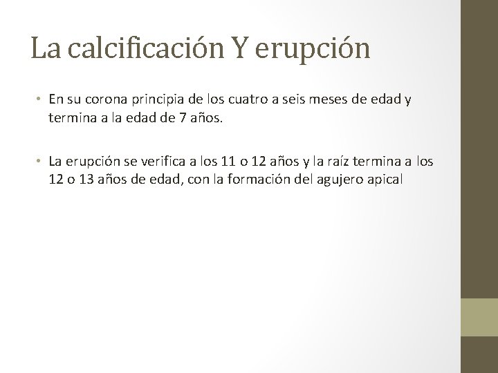 La calcificación Y erupción • En su corona principia de los cuatro a seis