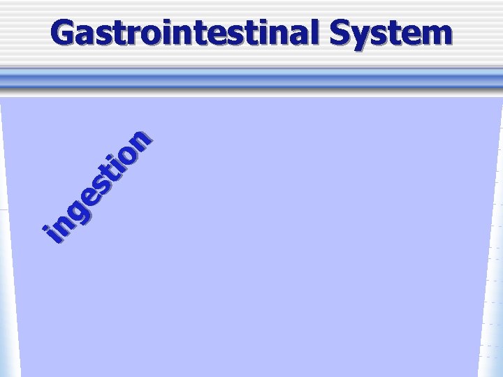 in ge st io n Gastrointestinal System 