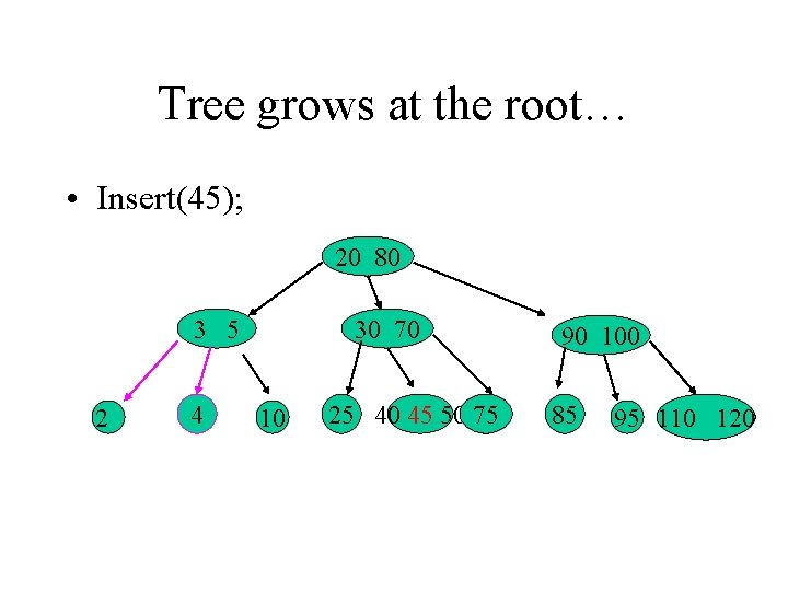 Tree grows at the root… • Insert(45); 20 80 3 5 2 4 30