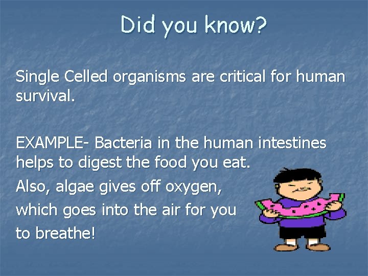 Did you know? Single Celled organisms are critical for human survival. EXAMPLE- Bacteria in