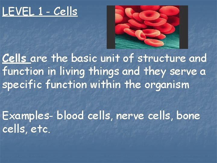 LEVEL 1 - Cells are the basic unit of structure and function in living