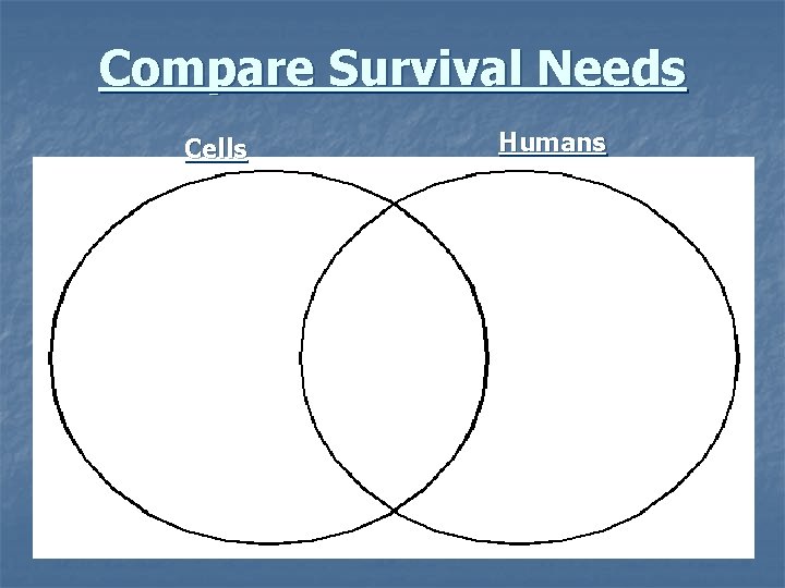 Compare Survival Needs Cells Humans 