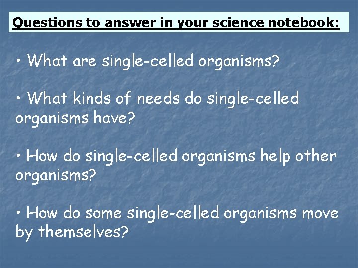 Questions to answer in your science notebook: • What are single-celled organisms? • What