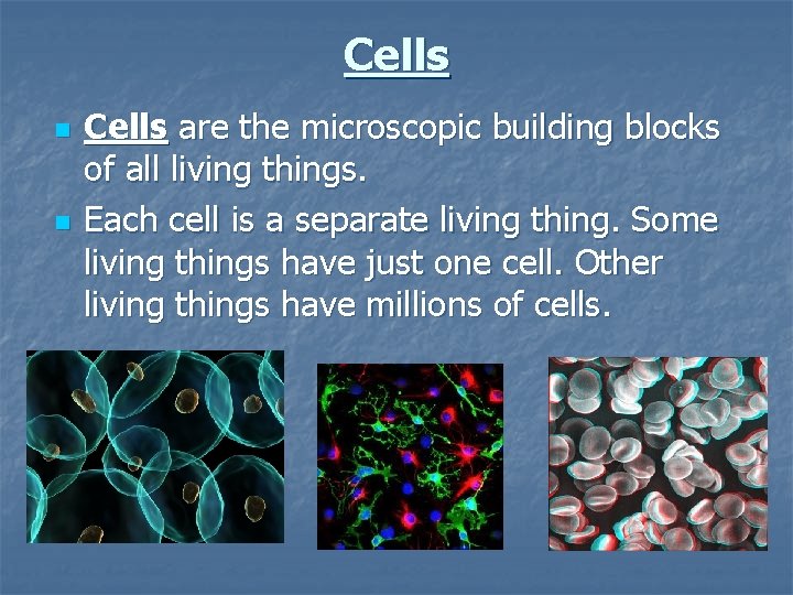 Cells n n Cells are the microscopic building blocks of all living things. Each