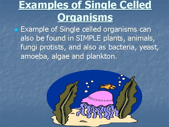 Examples of Single Celled Organisms n Example of Single celled organisms can also be